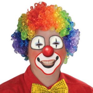 Rainbow Clown Wig BE60273