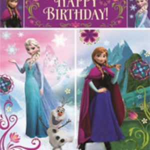 Disney Frozen Scene Setter AM671416