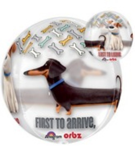 The Secret Life of Pets Orbz Balloon ANA34068