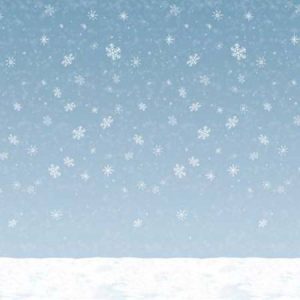 Winter Sky Backdrop BE20201