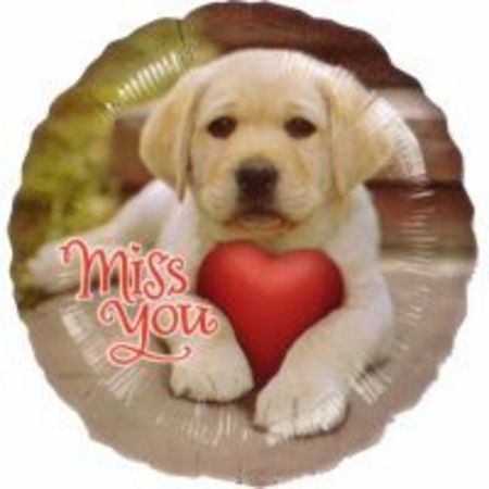 Miss You Puppy Foil Balloon ANA07071