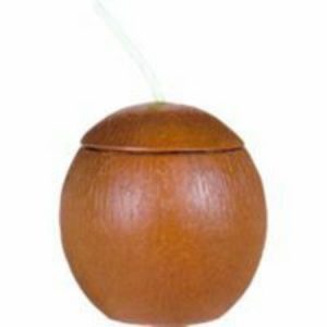 Coconut Shaped Cup with Straw AM399689