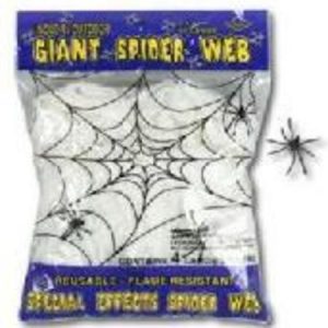 Big Spider Web with Spider AM394219