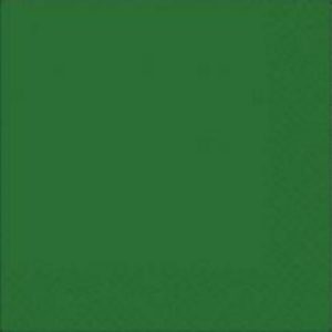 Festive Green Beverage Napkin AM50015.03