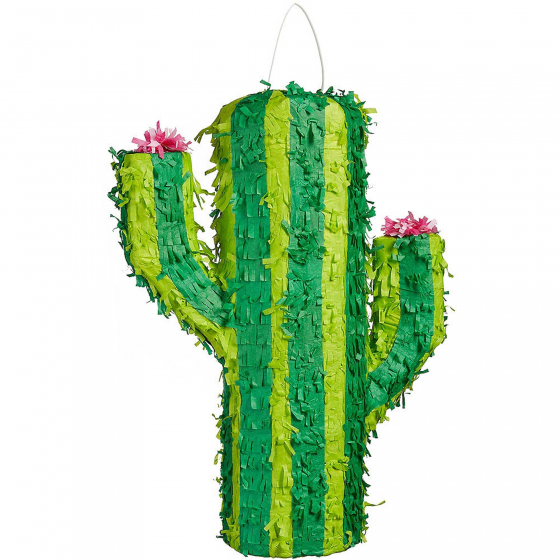 Cactus Pinata AM19734.56