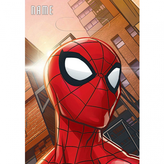 Spiderman Webbed Wonder Loot bags AM371860