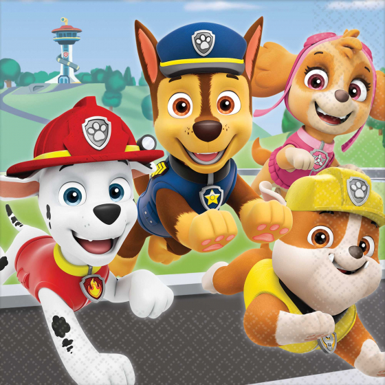 Paw Patrol Adventures Luncheon Napkins AM512441