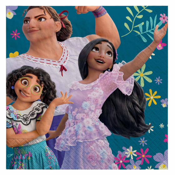 Encanto Lunch Napkins AM512812